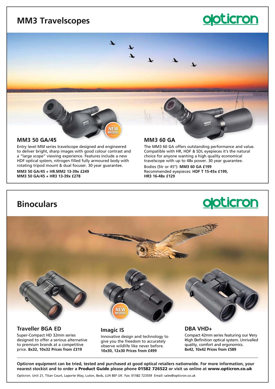 Bird Watching Preview Pages
