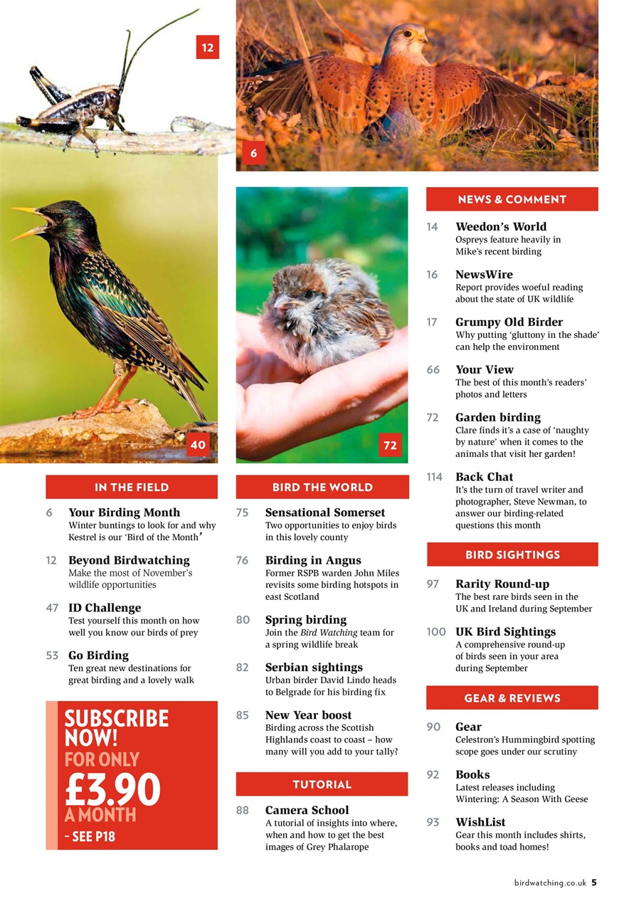 Bird Watching Preview Pages