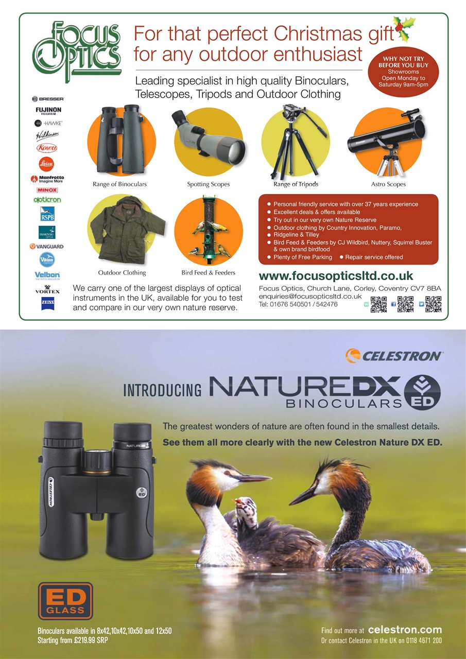 Bird Watching Preview Pages