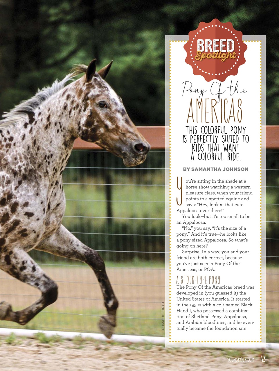 Young Rider Magazine Preview Pages