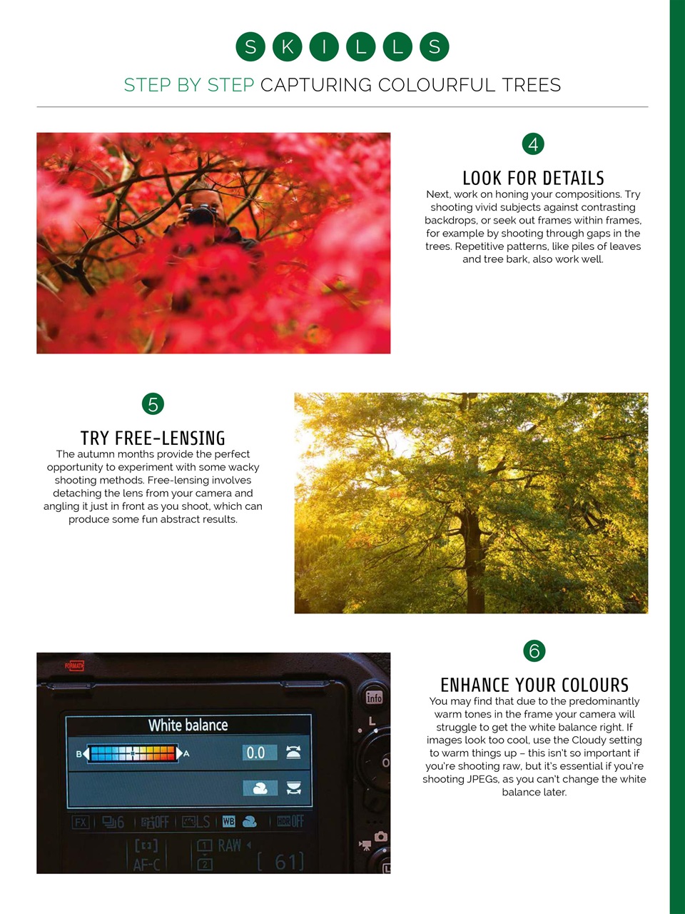 Photography Week Preview Pages