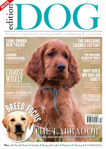 Edition Dog issue Issue 13