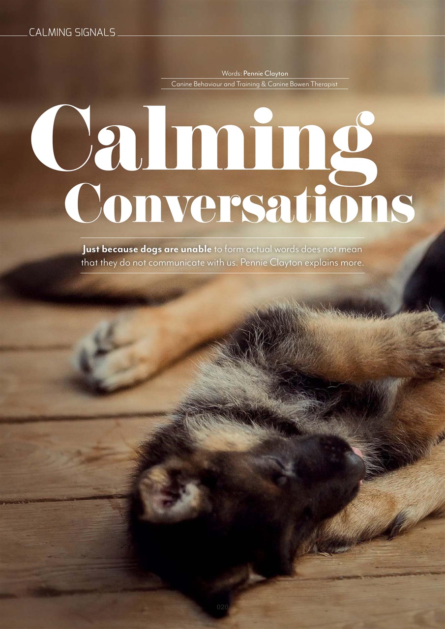 Edition Dog Preview Pages