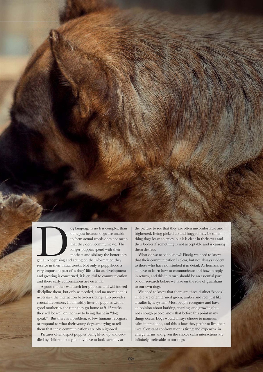 Edition Dog Preview Pages