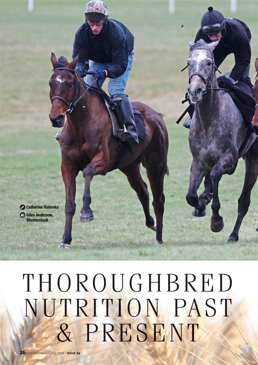 North American Trainer Magazine - horse racing Preview Pages