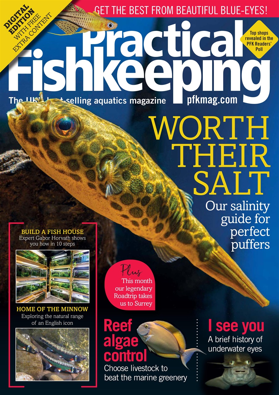 Practical Fishkeeping Preview Pages