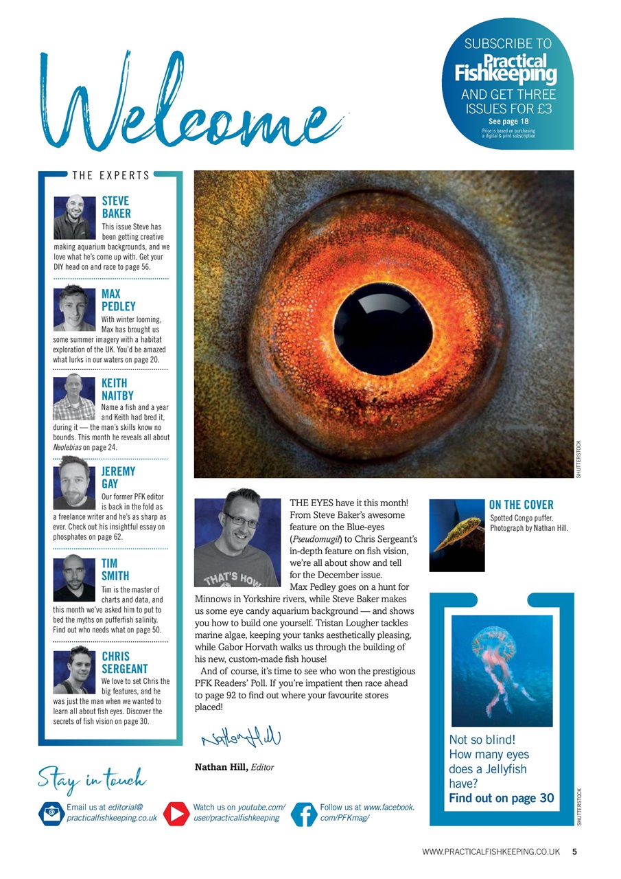 Practical Fishkeeping Preview Pages