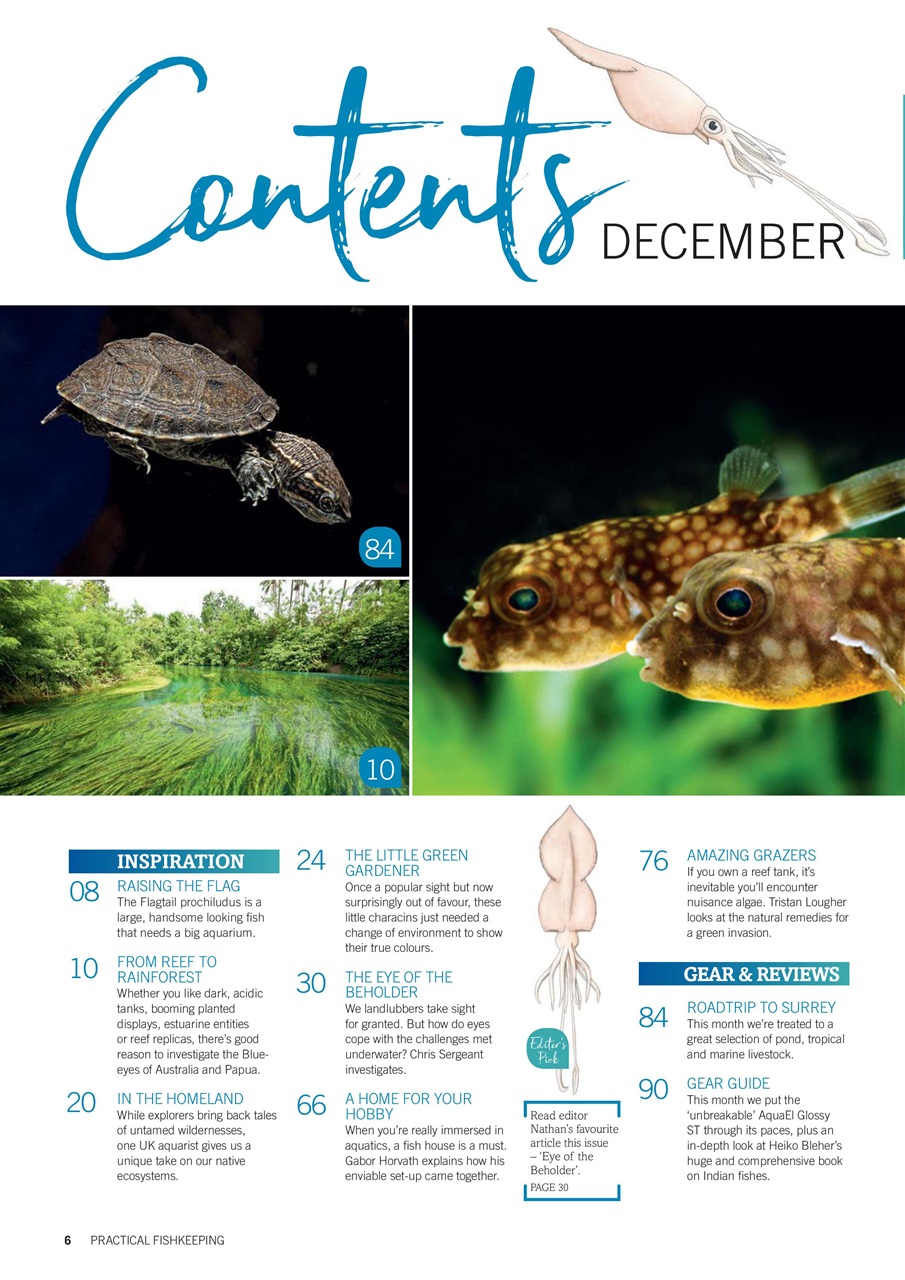 Practical Fishkeeping Preview Pages