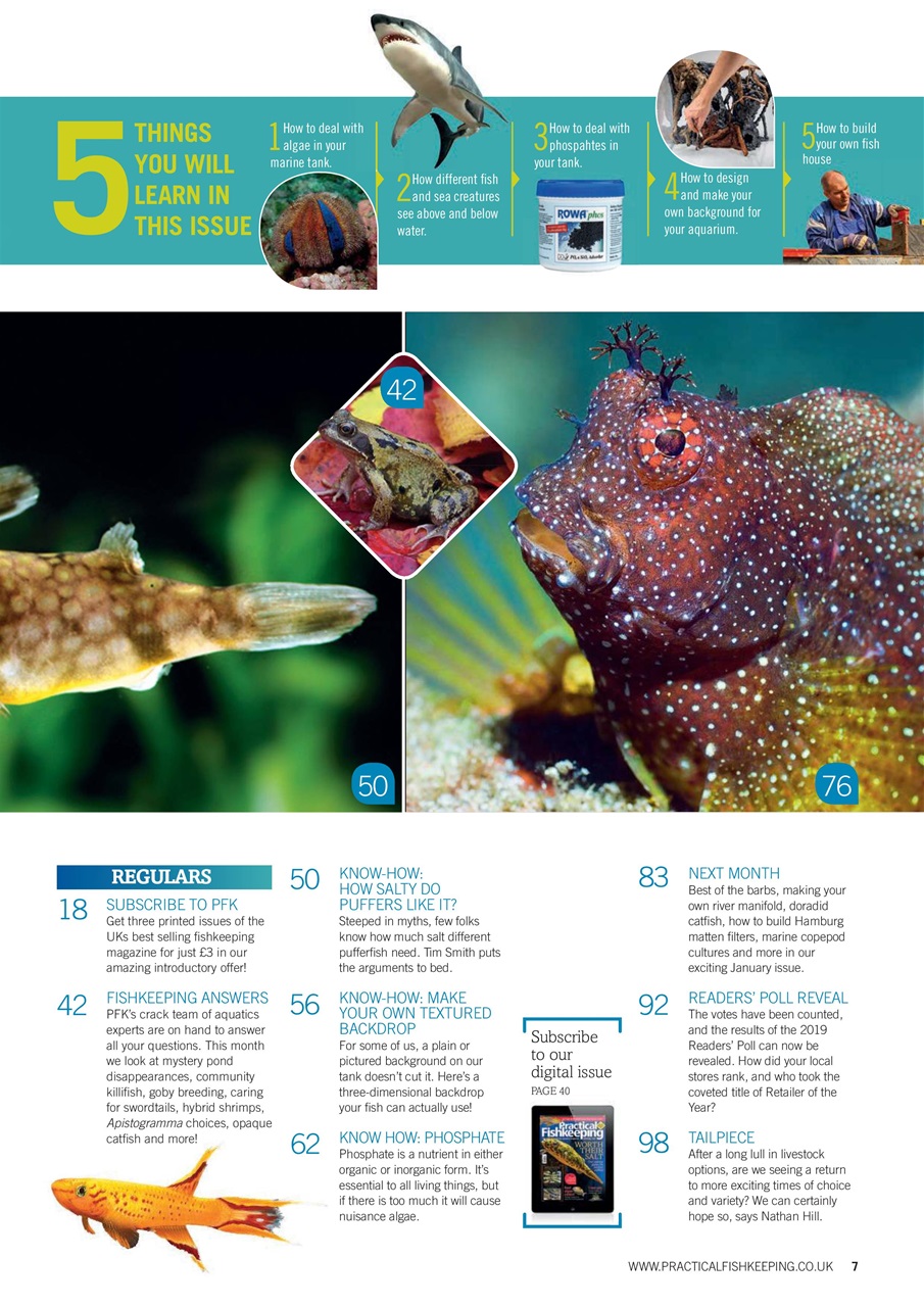 Practical Fishkeeping Preview Pages