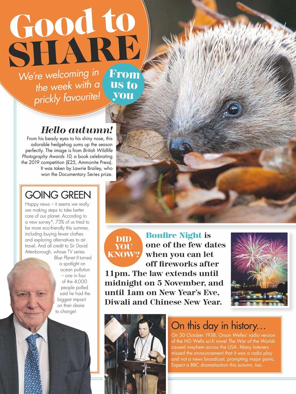 Woman's Weekly Preview Pages