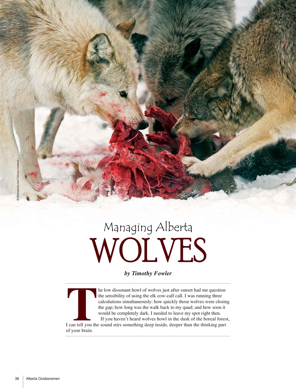 Alberta Outdoors Preview Pages