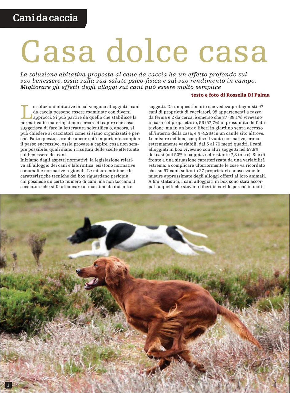 SENTIERI DI CACCIA Preview Pages
