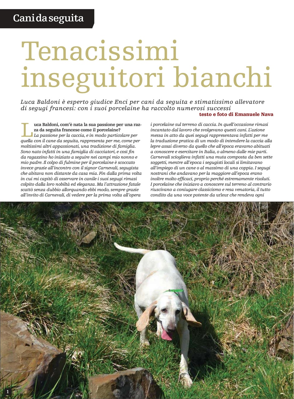 SENTIERI DI CACCIA Preview Pages