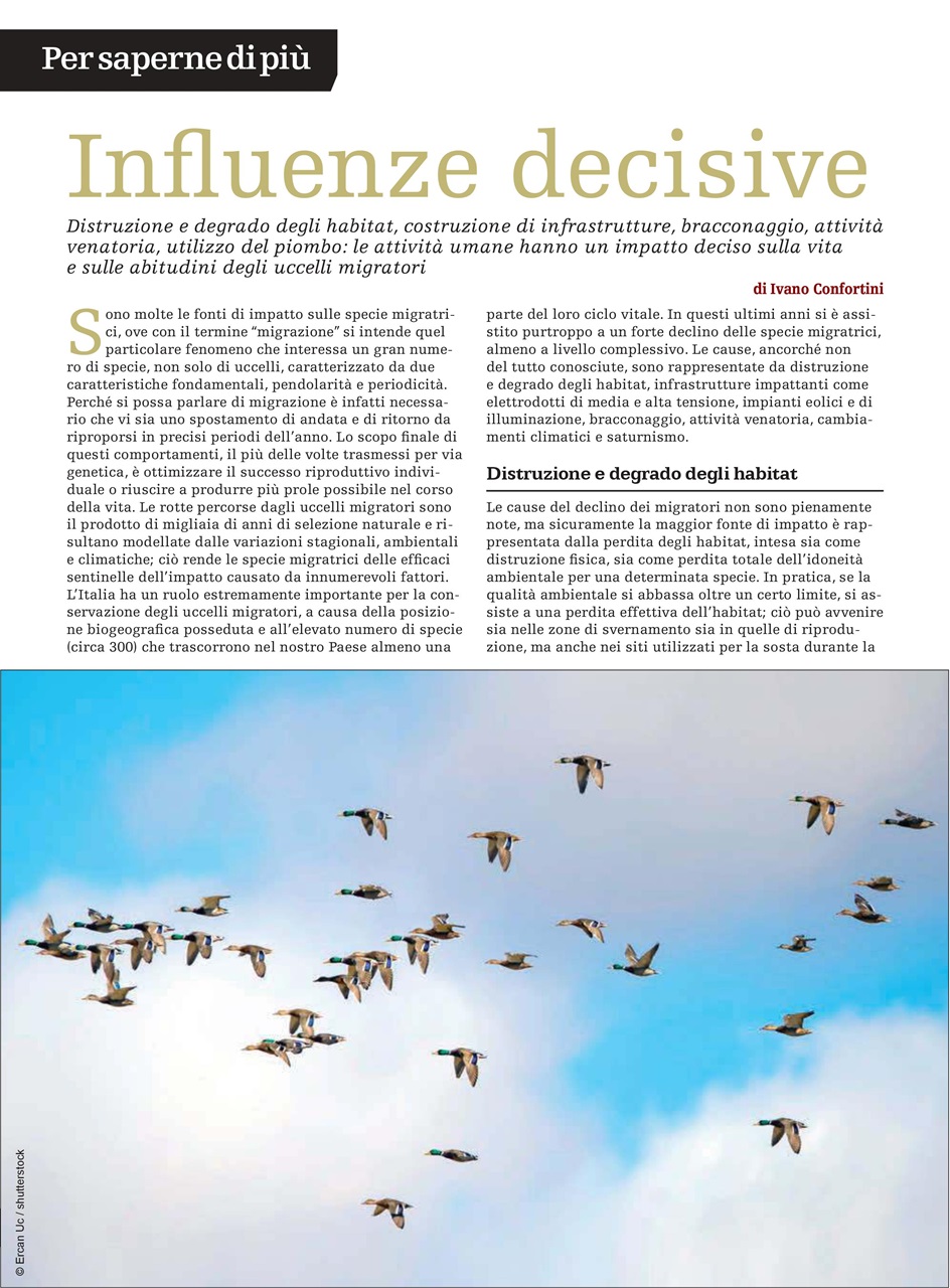 SENTIERI DI CACCIA Preview Pages