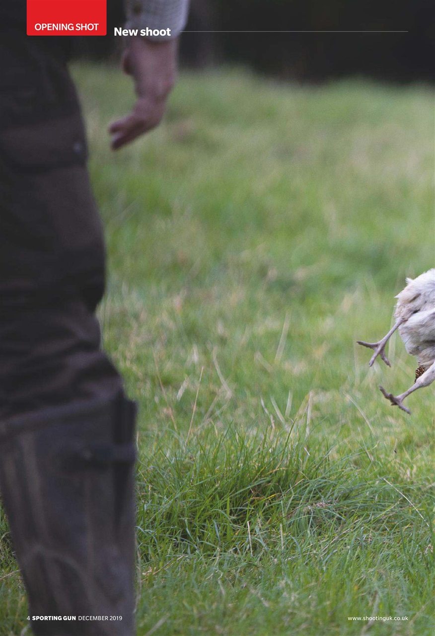 Sporting Gun Preview Pages