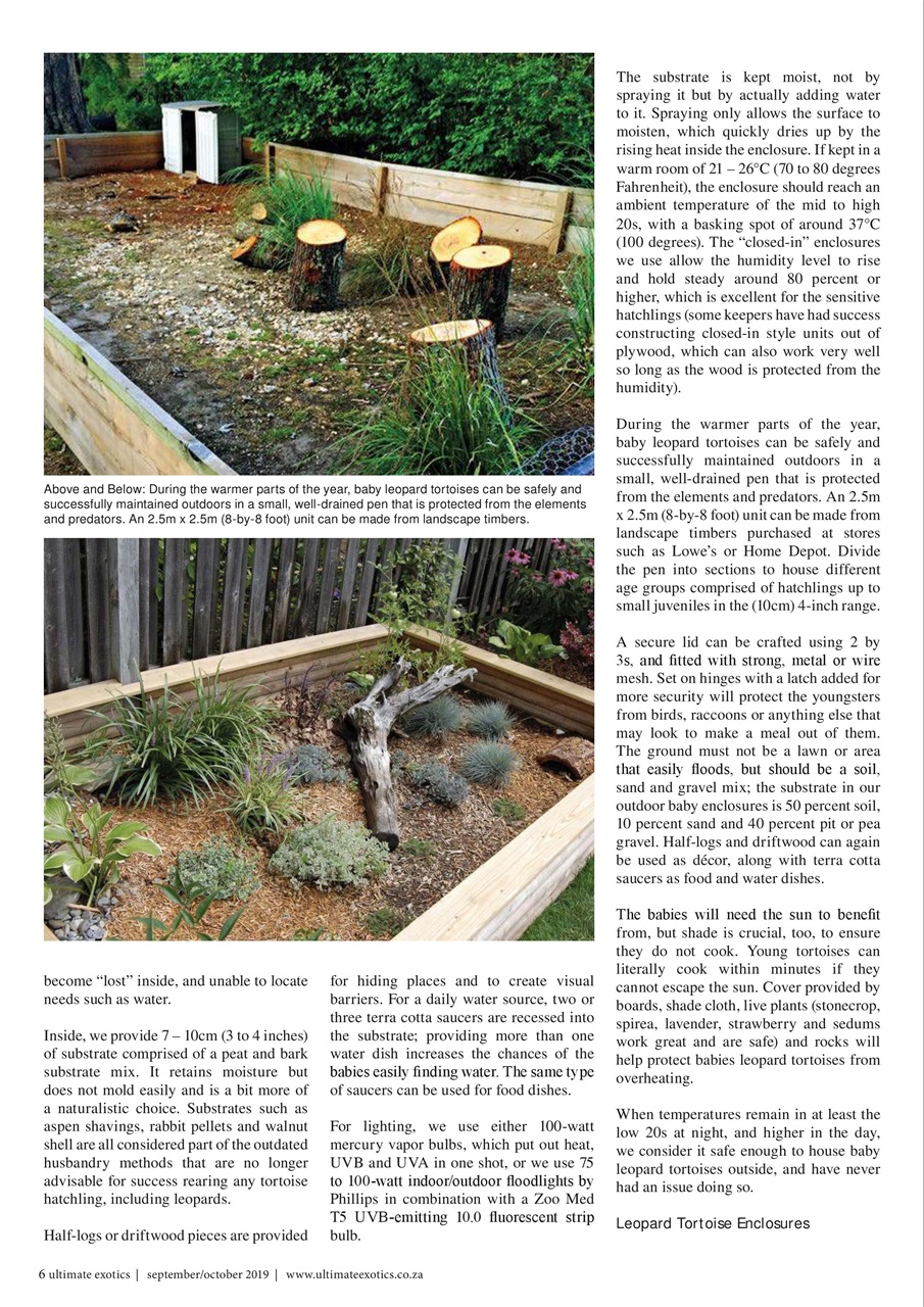 Ultimate Exotics Preview Pages