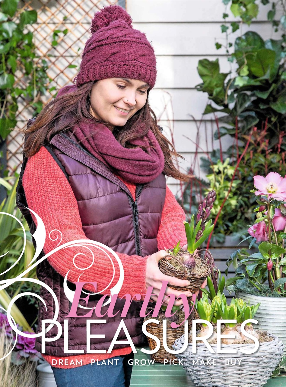 Modern Gardens Preview Pages