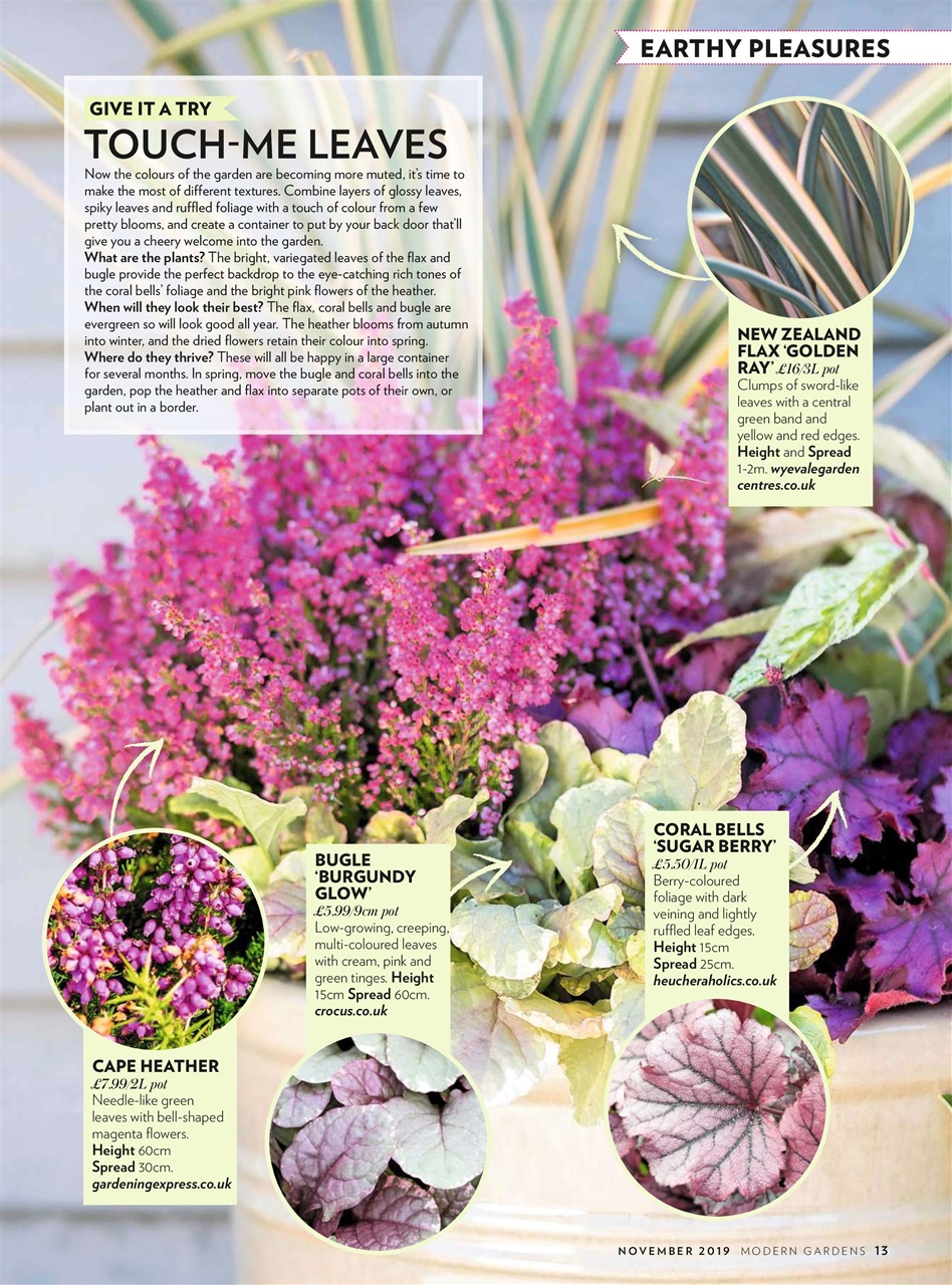 Modern Gardens Preview Pages