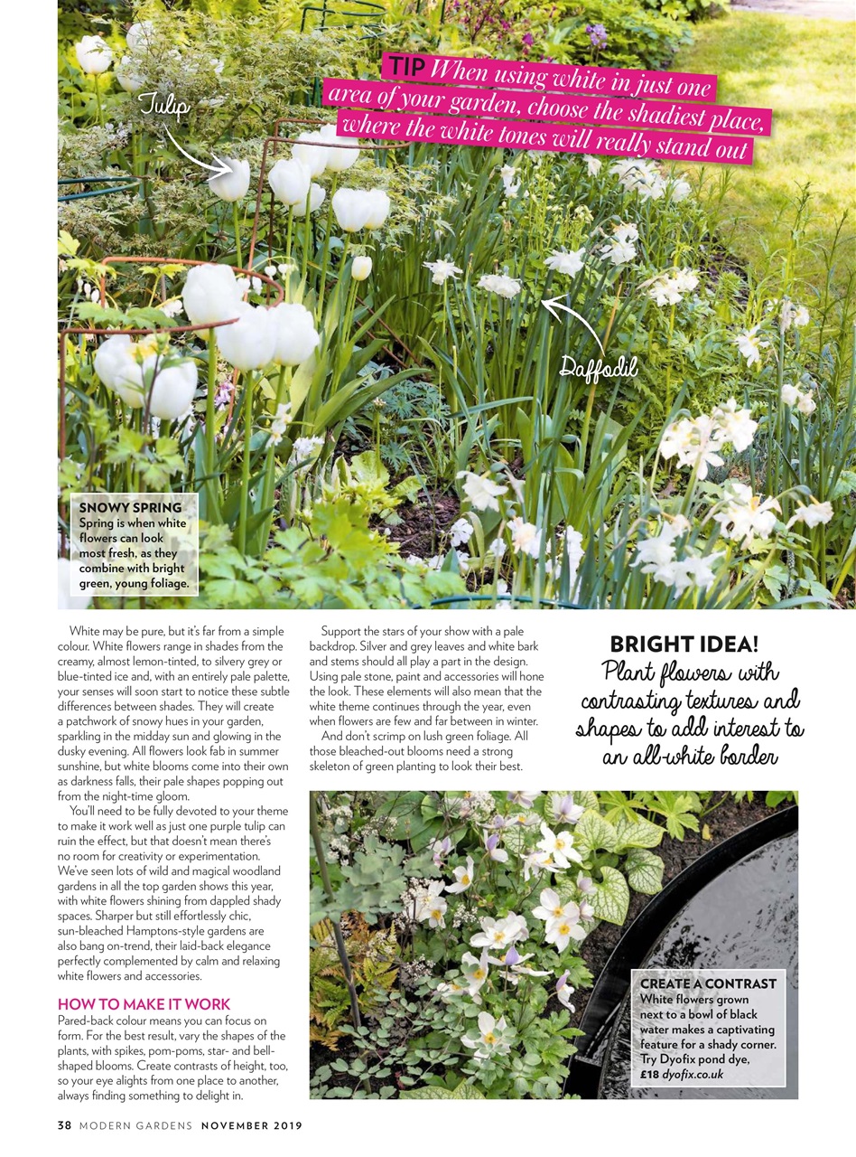 Modern Gardens Preview Pages