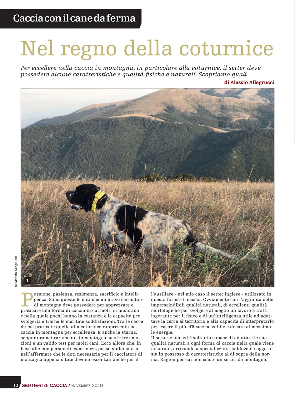 SENTIERI DI CACCIA Preview Pages