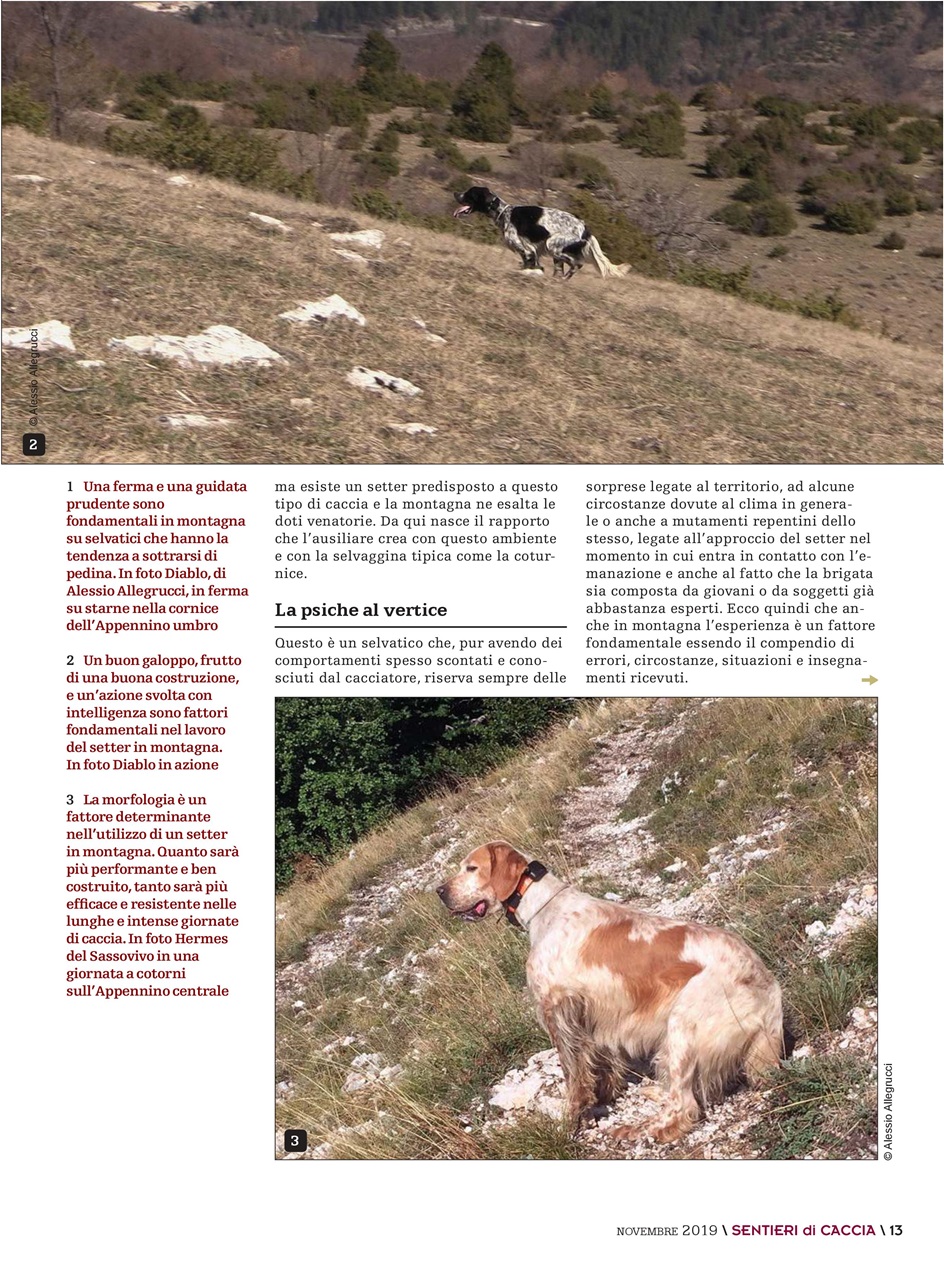 SENTIERI DI CACCIA Preview Pages