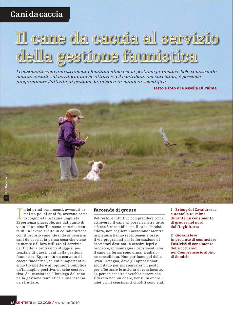 SENTIERI DI CACCIA Preview Pages