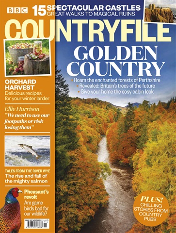 BBC Countryfile Magazine issue November 2019