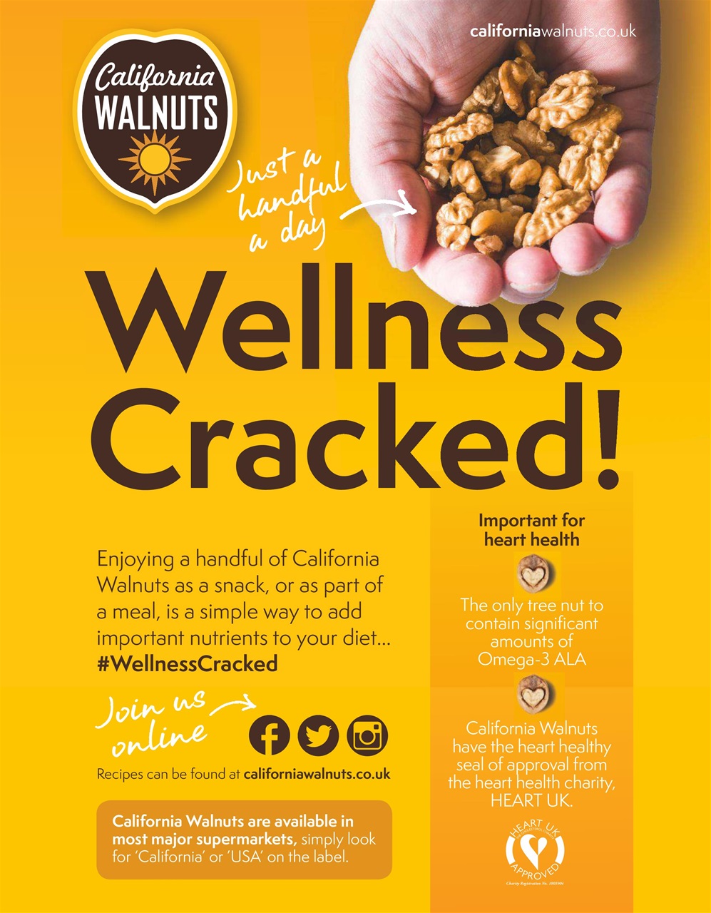 Healthy Food Guide Preview Pages