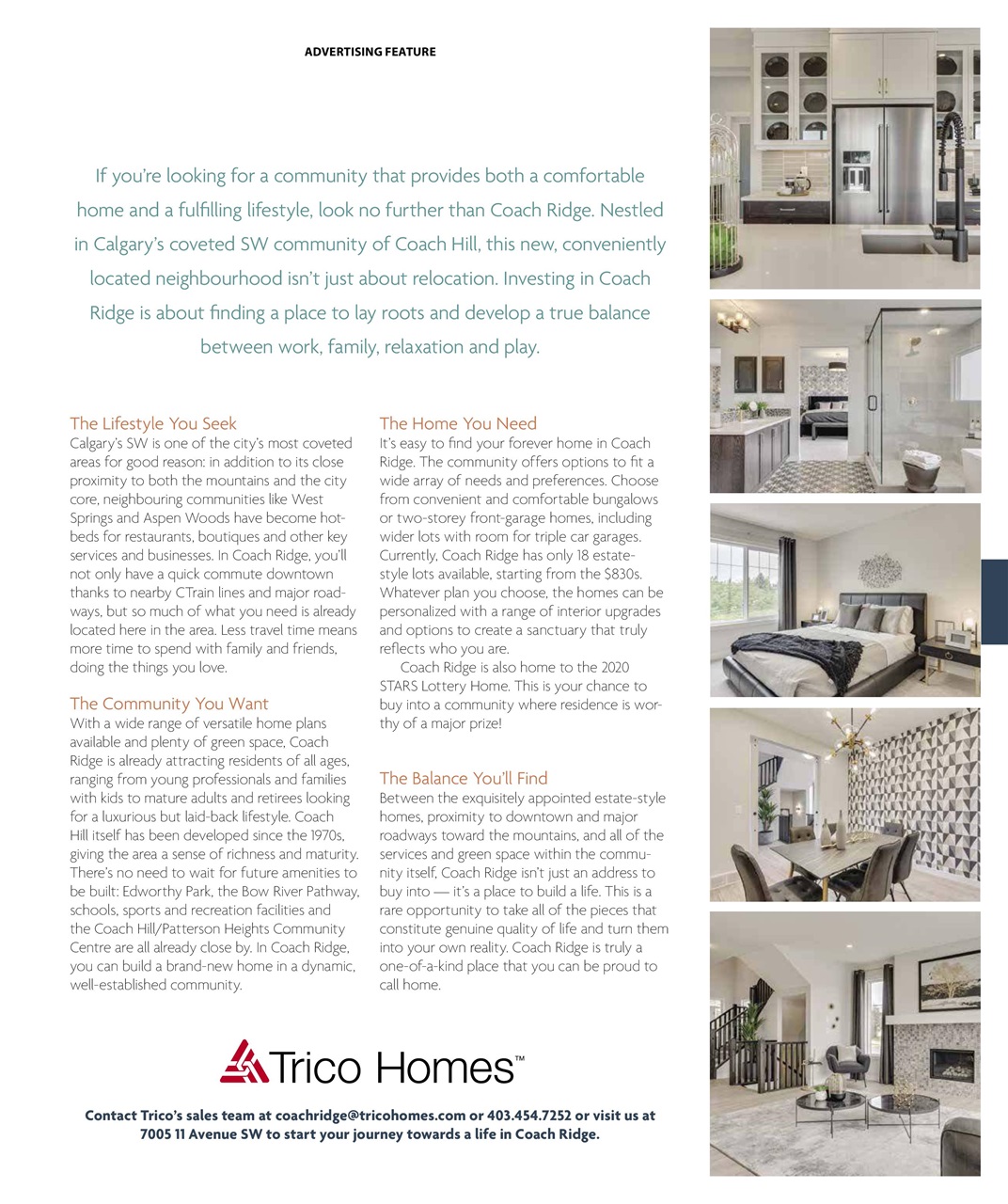 Avenue Calgary Preview Pages