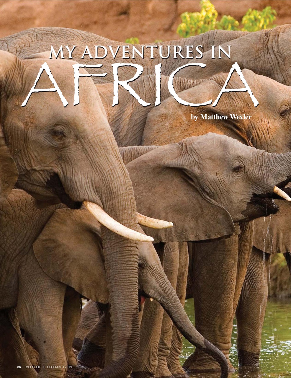 Passport Preview Pages