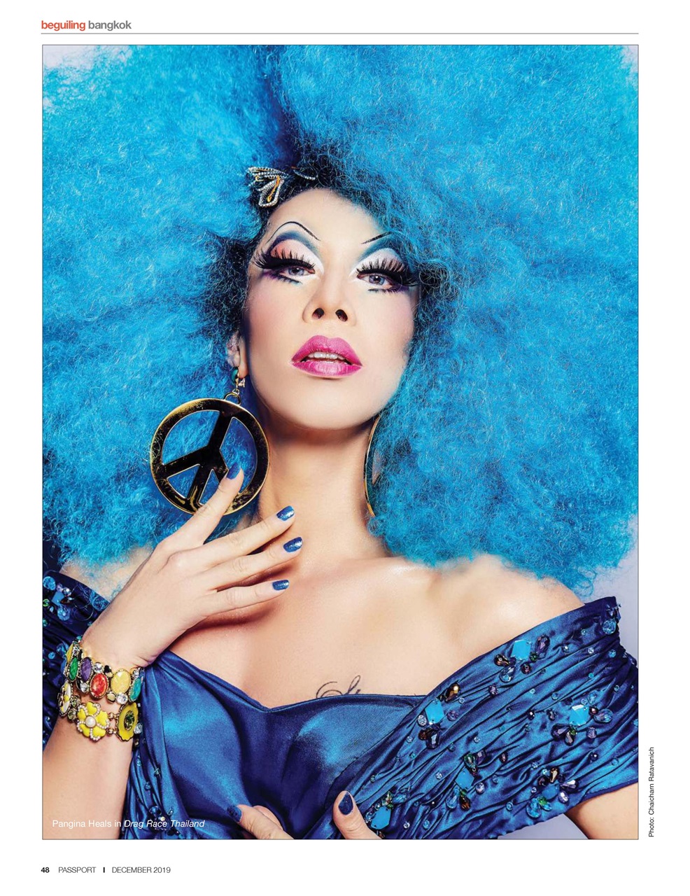 Passport Preview Pages