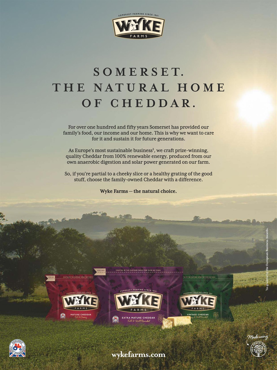 Woman & Home Feel Good Food Preview Pages