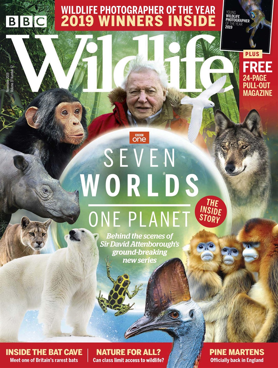 BBC Wildlife Magazine Preview Pages