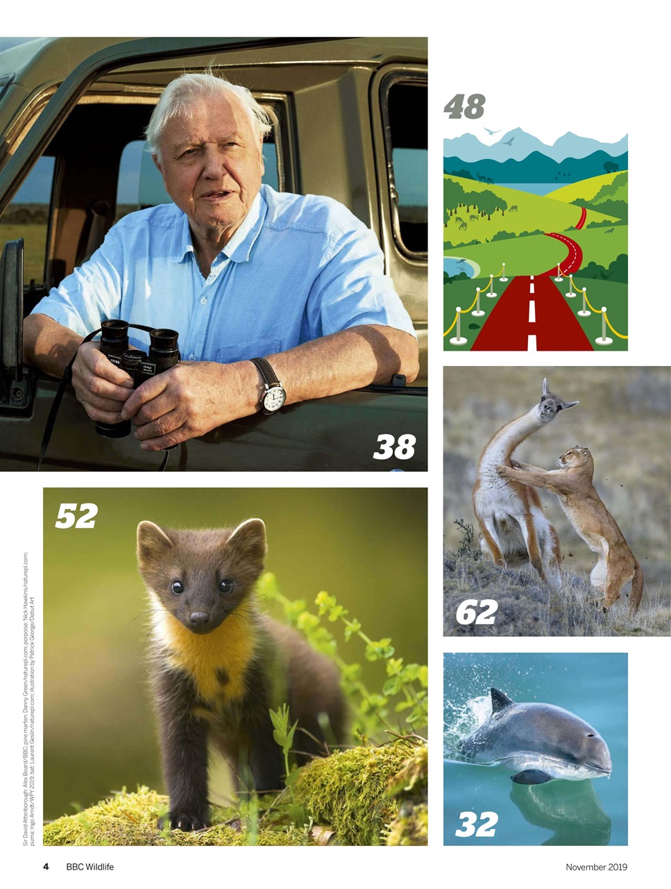 BBC Wildlife Magazine Preview Pages