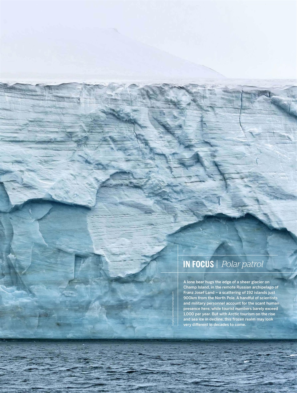 BBC Wildlife Magazine Preview Pages