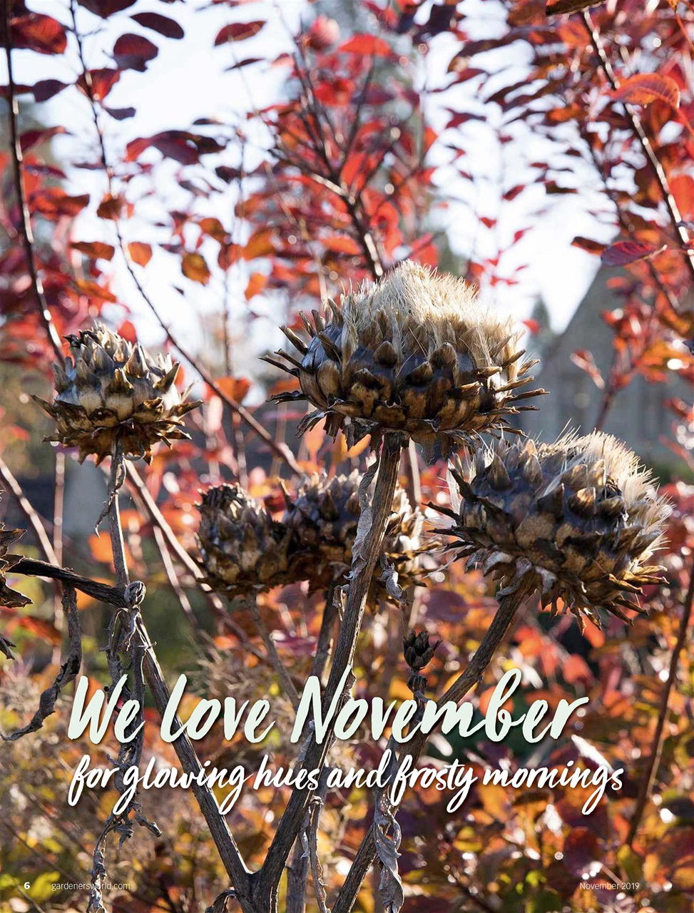 BBC Gardeners’ World Magazine Preview Pages