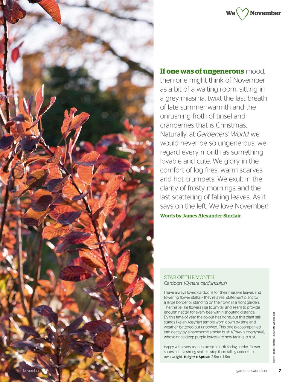 BBC Gardeners’ World Magazine Preview Pages