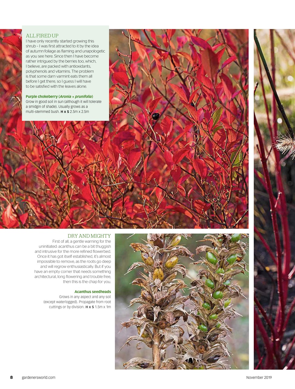 BBC Gardeners’ World Magazine Preview Pages