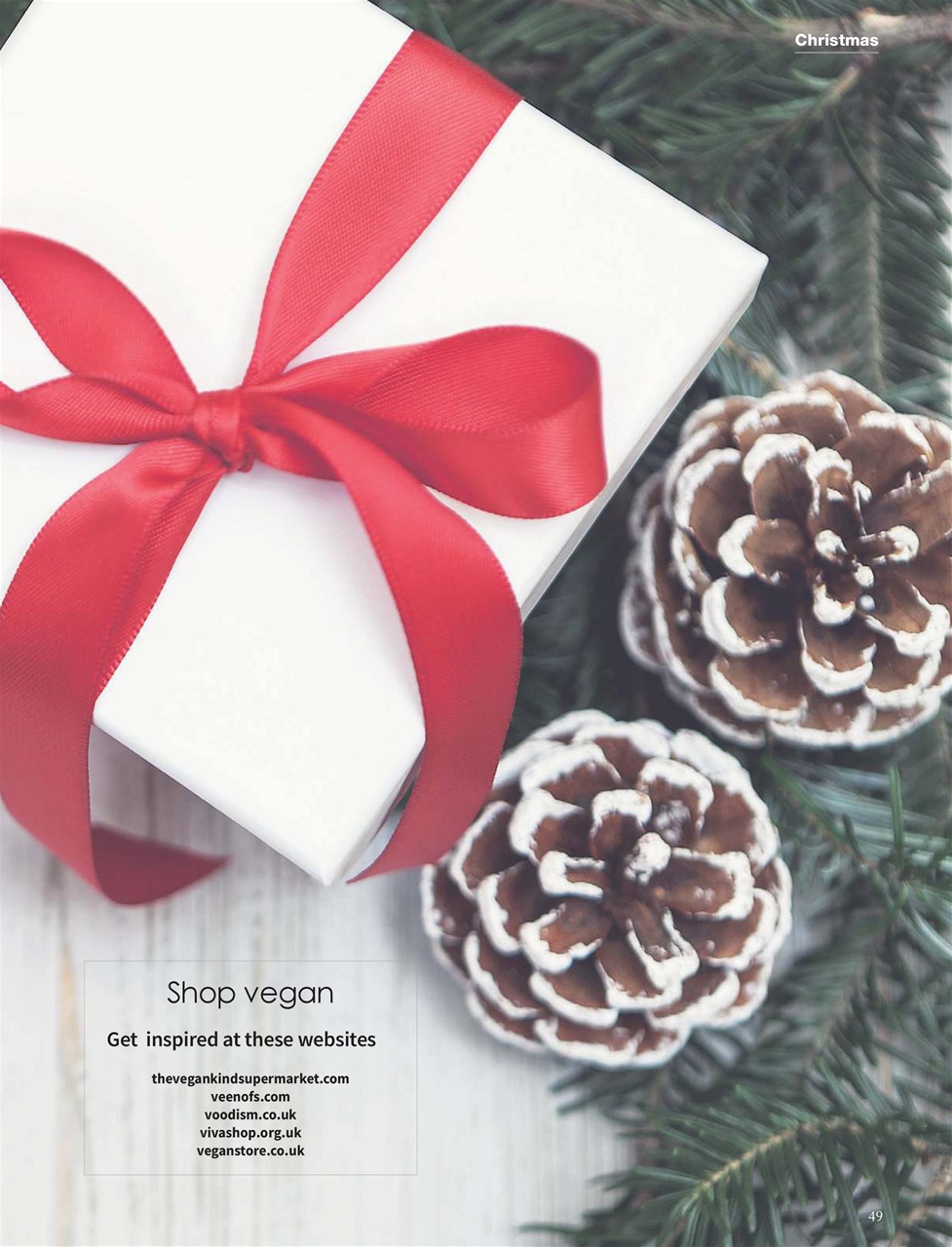 Vegan Life Preview Pages