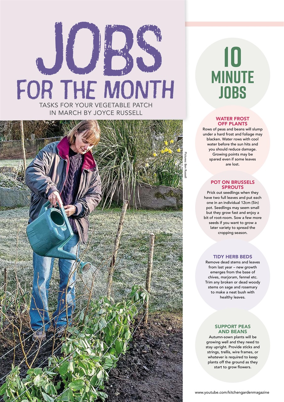 Kitchen Garden Magazine Preview Pages