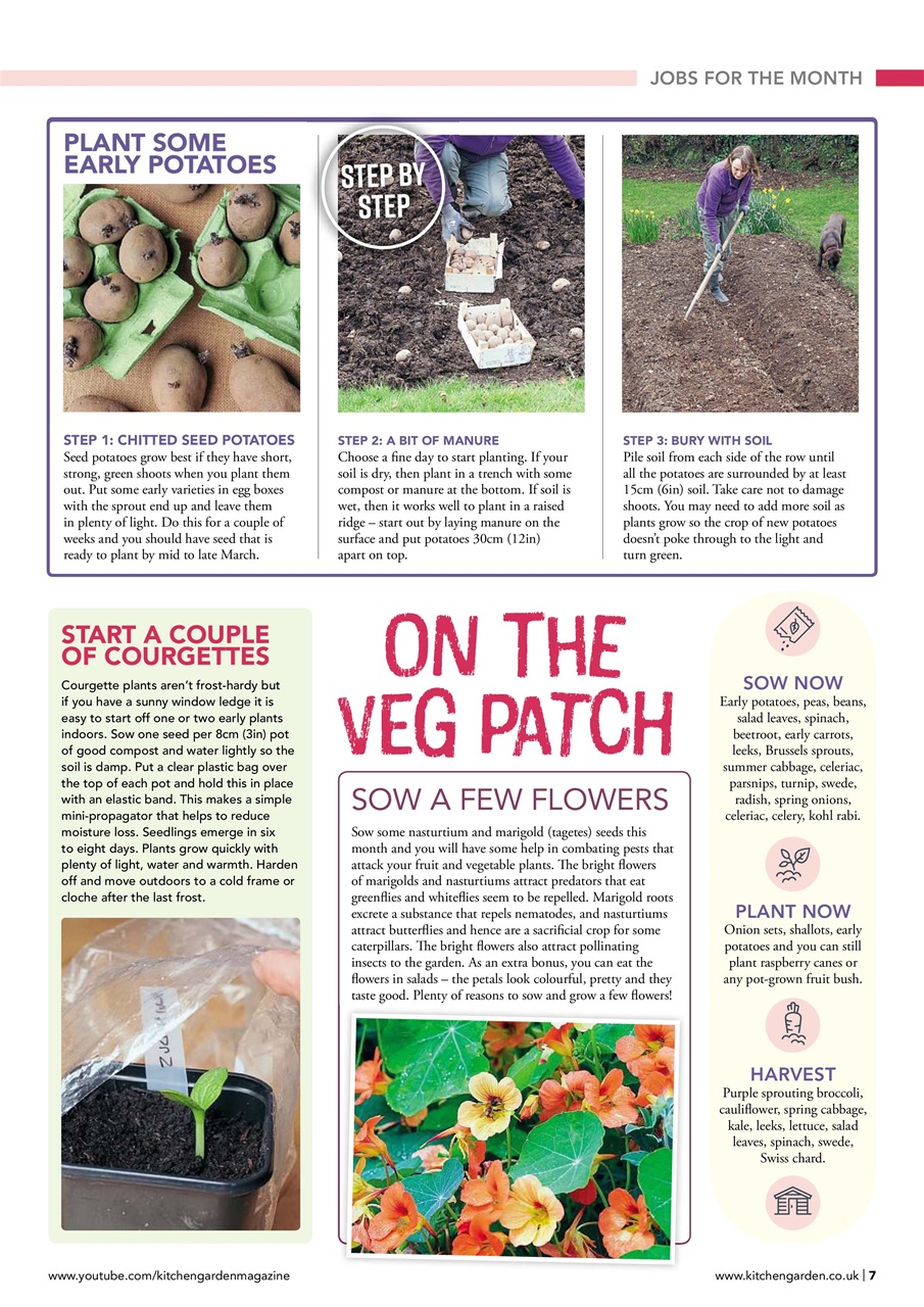 Kitchen Garden Magazine Preview Pages