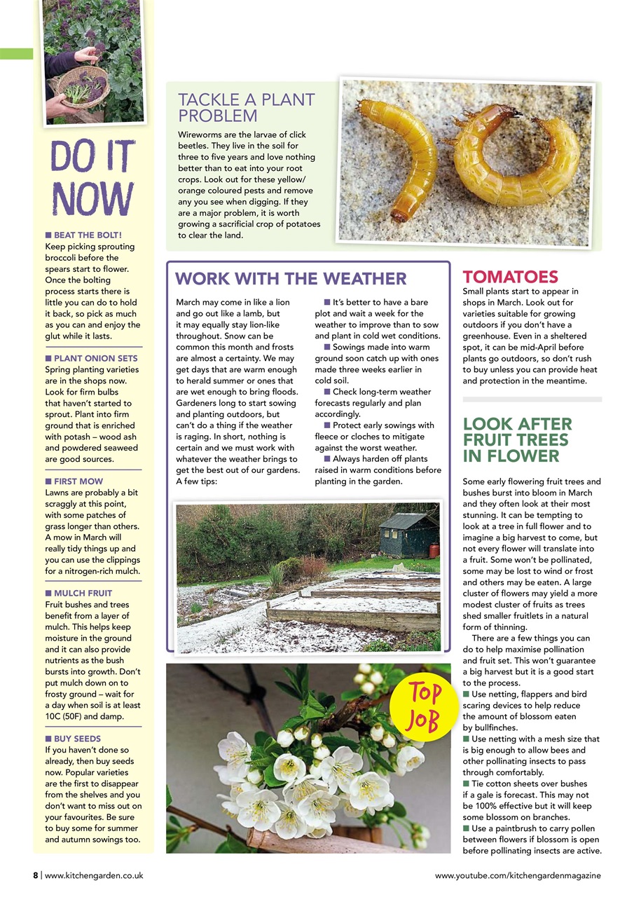 Kitchen Garden Magazine Preview Pages