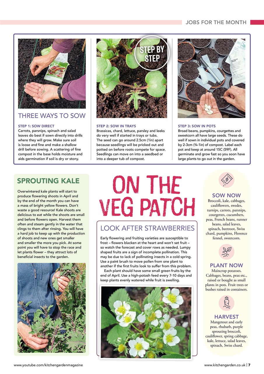Kitchen Garden Magazine Preview Pages