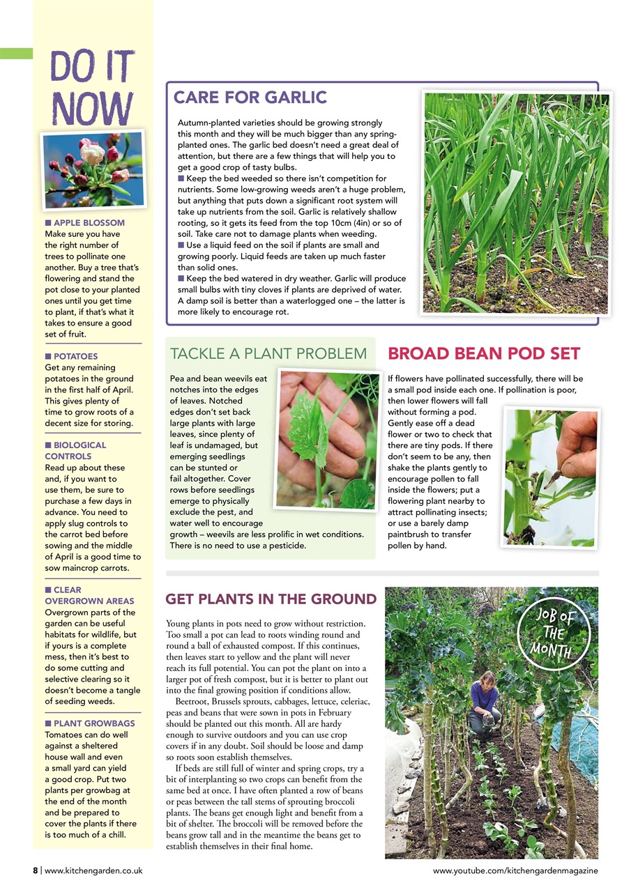 Kitchen Garden Magazine Preview Pages