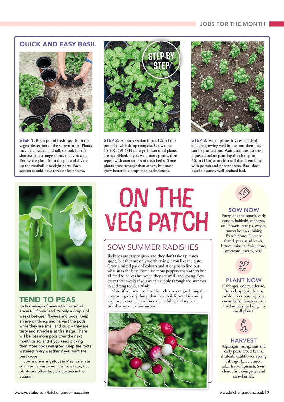 Kitchen Garden Magazine Preview Pages