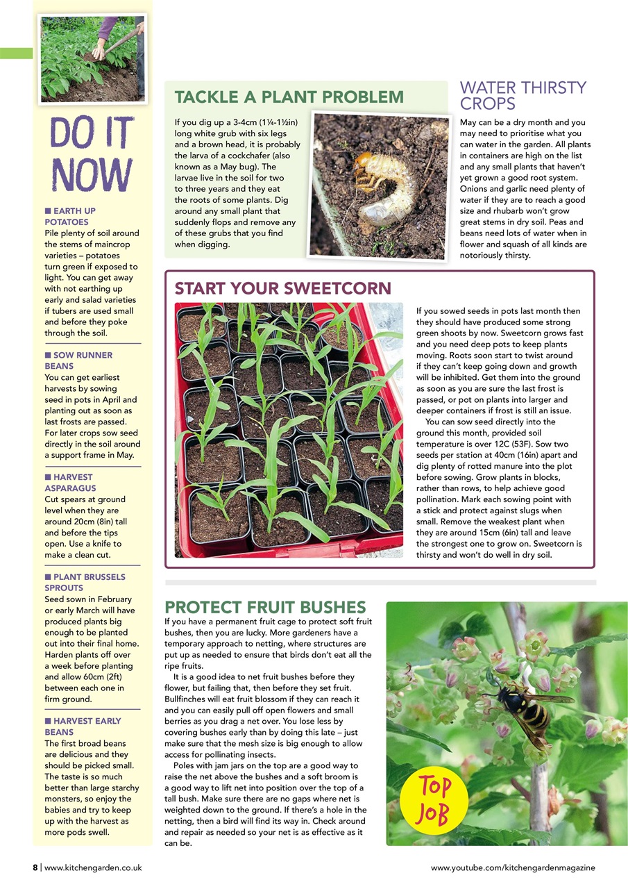 Kitchen Garden Magazine Preview Pages