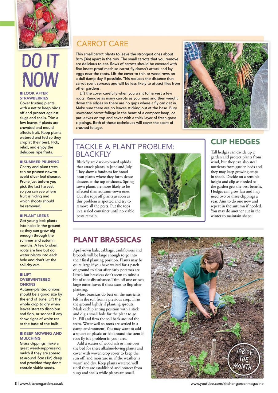 Kitchen Garden Magazine Preview Pages