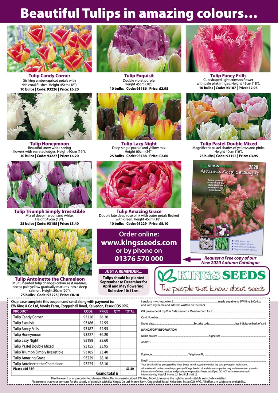 Kitchen Garden Magazine Preview Pages