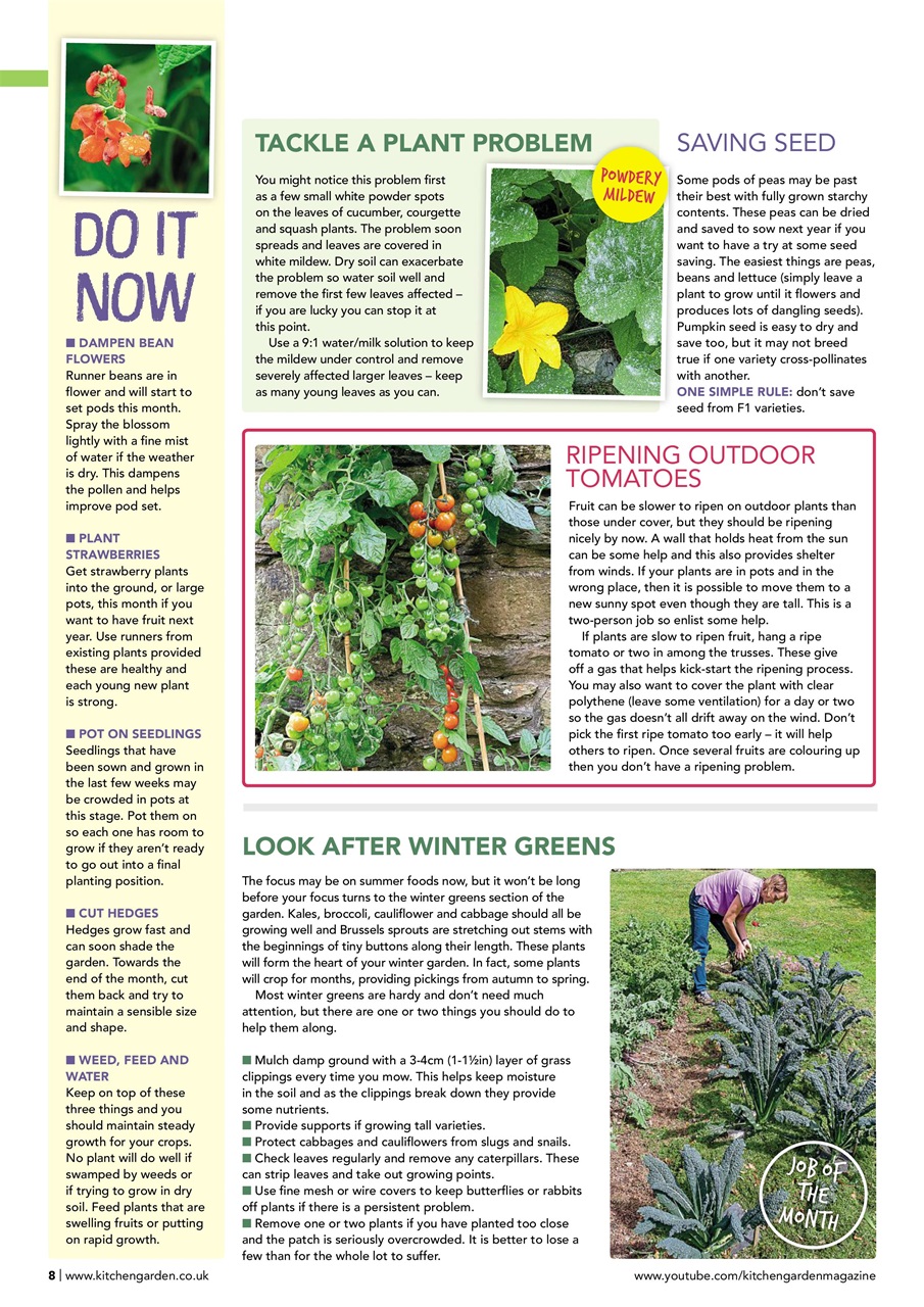 Kitchen Garden Magazine Preview Pages