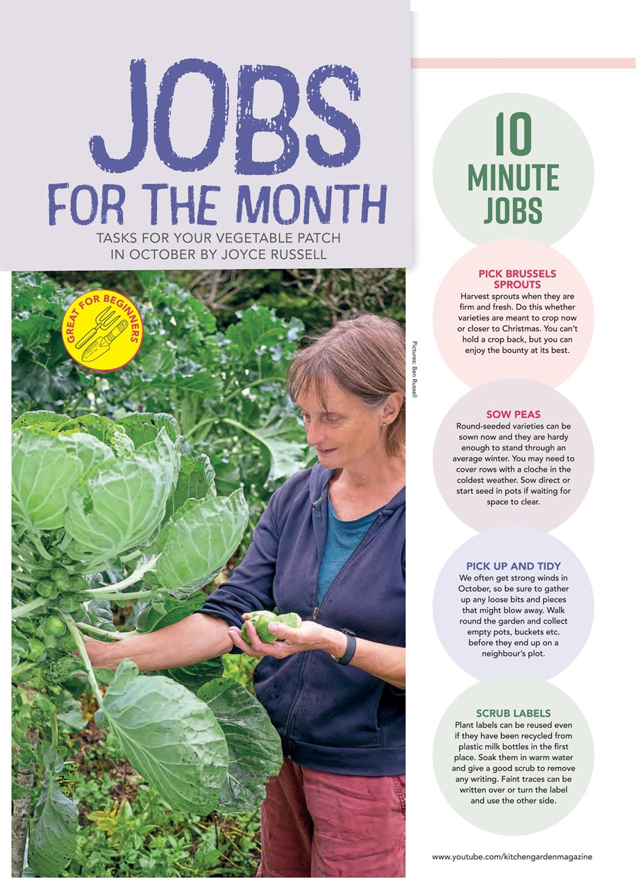 Kitchen Garden Magazine Preview Pages